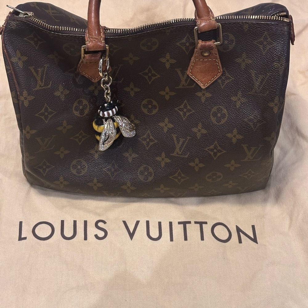Louis Vuitton Monogram Canvas Speedy Tote with Brown Leather Handles